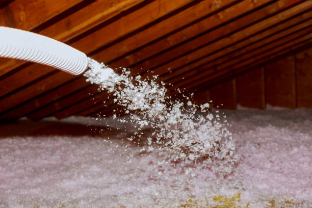 Best Attic Insulation Installation  in Baxter Estates, NY