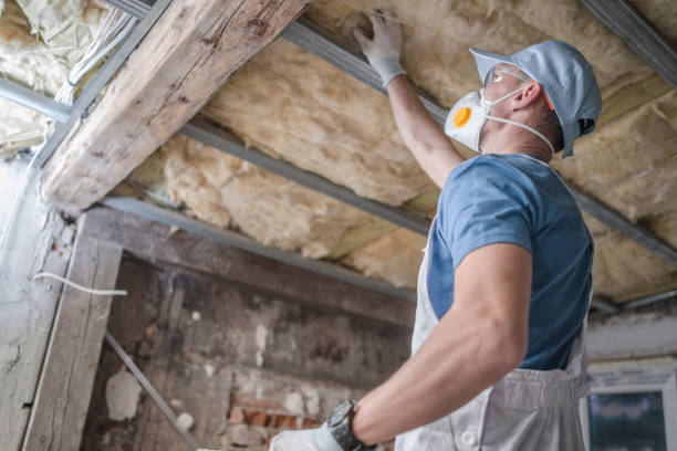 Best Residential Insulation Services  in Baxter Estates, NY