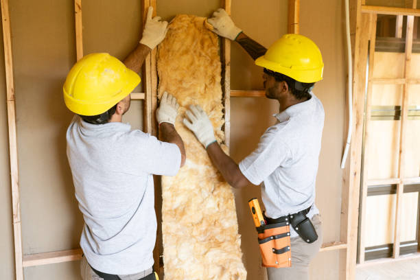 Best Crawl Space Insulation  in Baxter Estates, NY