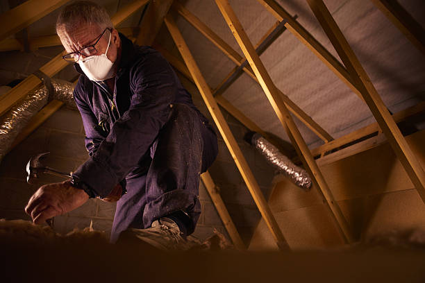 Best Insulation Replacement Services  in Baxter Estates, NY