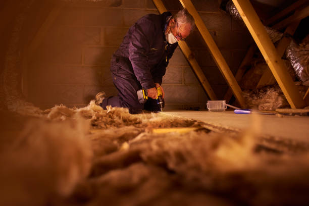Best Insulation Replacement Services  in Baxter Estates, NY